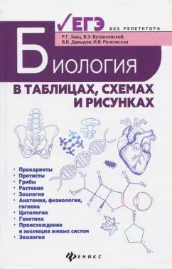 Заяц, Бутвиловский, Рачковская: Биология в таблицах, схемах и рисунках