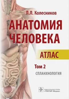 Лев Колесников: Анатомия человека. Атлас. Том 2. Спланхнология