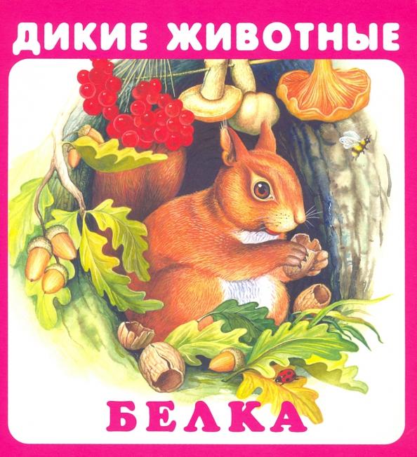 Дикие животные