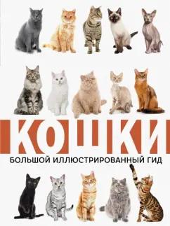 Николай Непомнящий: Кошки