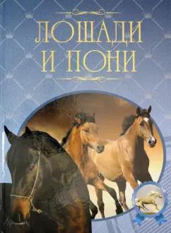 Владимир Жабцев: Лошади и пони. Иллюстрированная энциклопедия