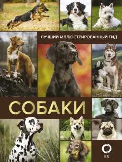 Вайткене, Филиппова, Барановская: Собаки. Лучший иллюстрированный гид