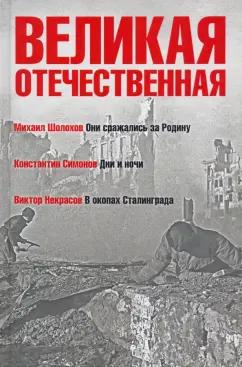 Симонов, Шолохов, Некрасов: Великая Отечественная. Книга 2