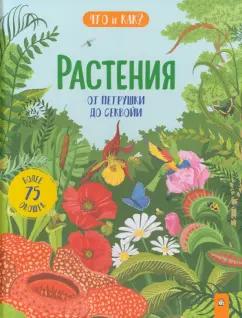 Рут Мартин: Растения. От петрушки до секвойи