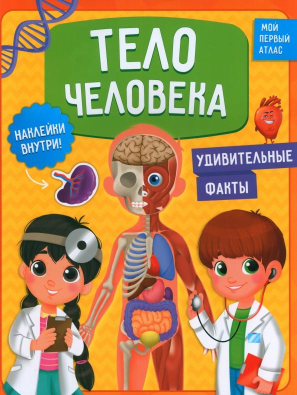 Васильева, Зленко: Тело человека. Мой первый атлас с наклейками