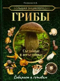 Андрей Поленов: Большая энциклопедия. Грибы. Съедобные и несъедобные. Собираем и готовим