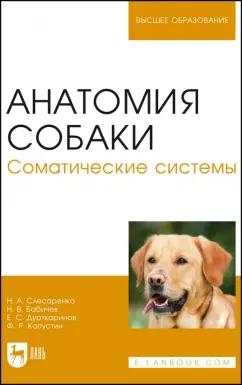 Слесаренко, Бабичев, Дурткаринов: Анатомия собаки. Соматические системы. Учебник