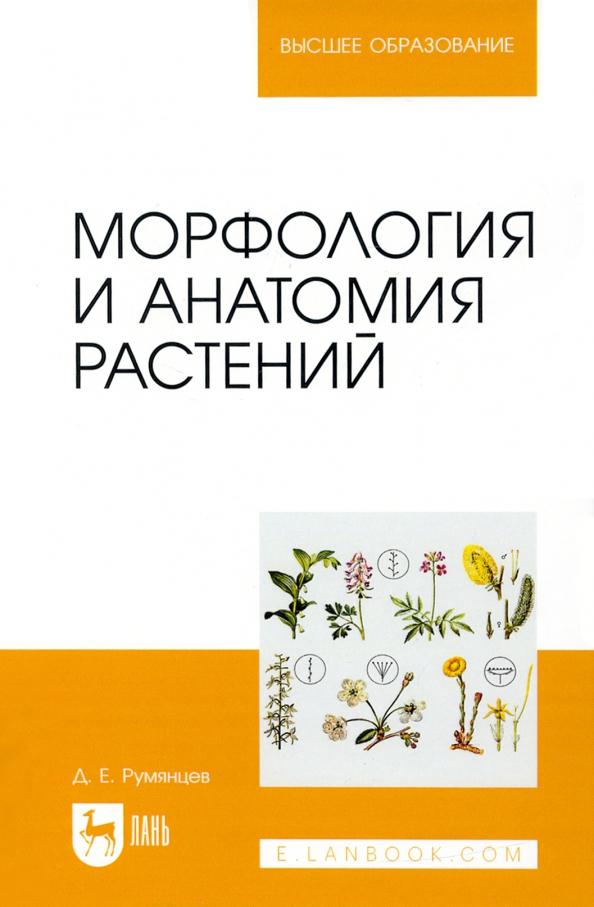 Денис Румянцев: Морфология и анатомия растений. Учебное пособие