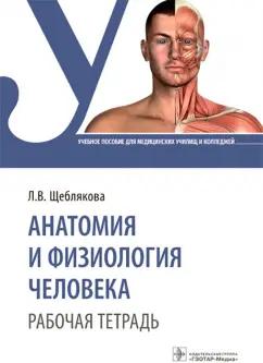 Лада Щеблякова: Анатомия и физиология человека. Рабочая тетрадь. Учебное пособие