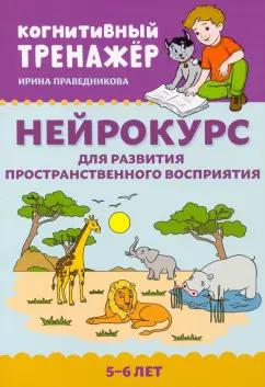 Ирина Праведникова: Нейрокурс для развития пространственного восприятия. 5-6 лет