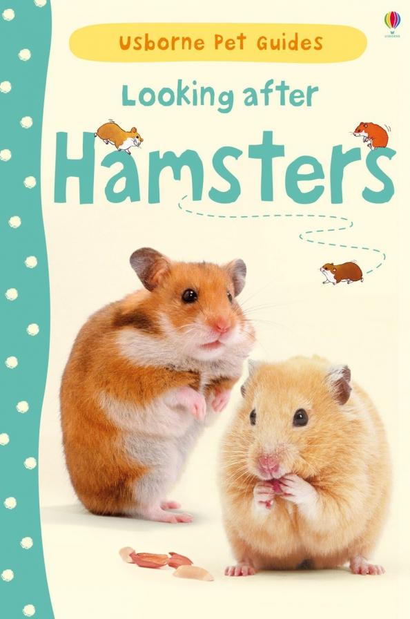 Usborne | Susan Meredith: Looking after Hamsters