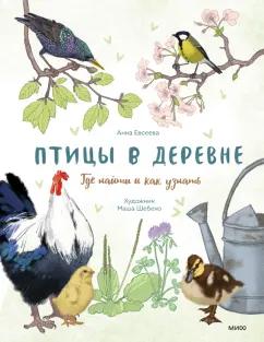 Анна Евсеева: Птицы в деревне. Где найти и как узнать