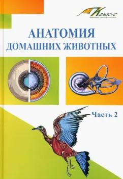 Слесаренко, Баймишев, Хрусталева: Анатомия домашних животных. Учебник. Часть 2