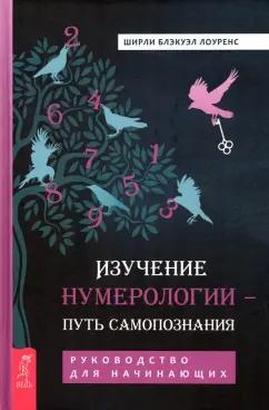 Ширли Лоуренс: Изучение нумерологии — путь самопознания. Руководство для начинающих