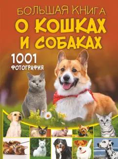 https://imo10.labirint.ru/books/968098/cover.jpg/242-0