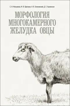 Мельников, Щипакин, Былинская: Морфология многокамерного желудка овцы. Монография