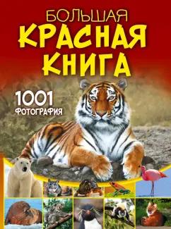 Анна Спектор: Большая красная книга. 1001 фотография