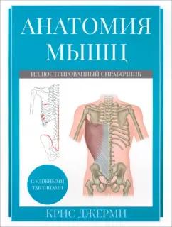 Крис Джерми: Анатомия мышц. Иллюстрированный справочник