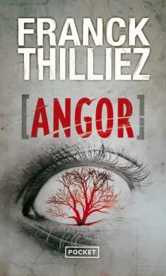 Franck Thilliez: Angor