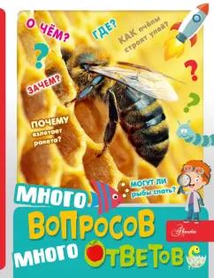 Владимир Малов: Много вопросов, много ответов