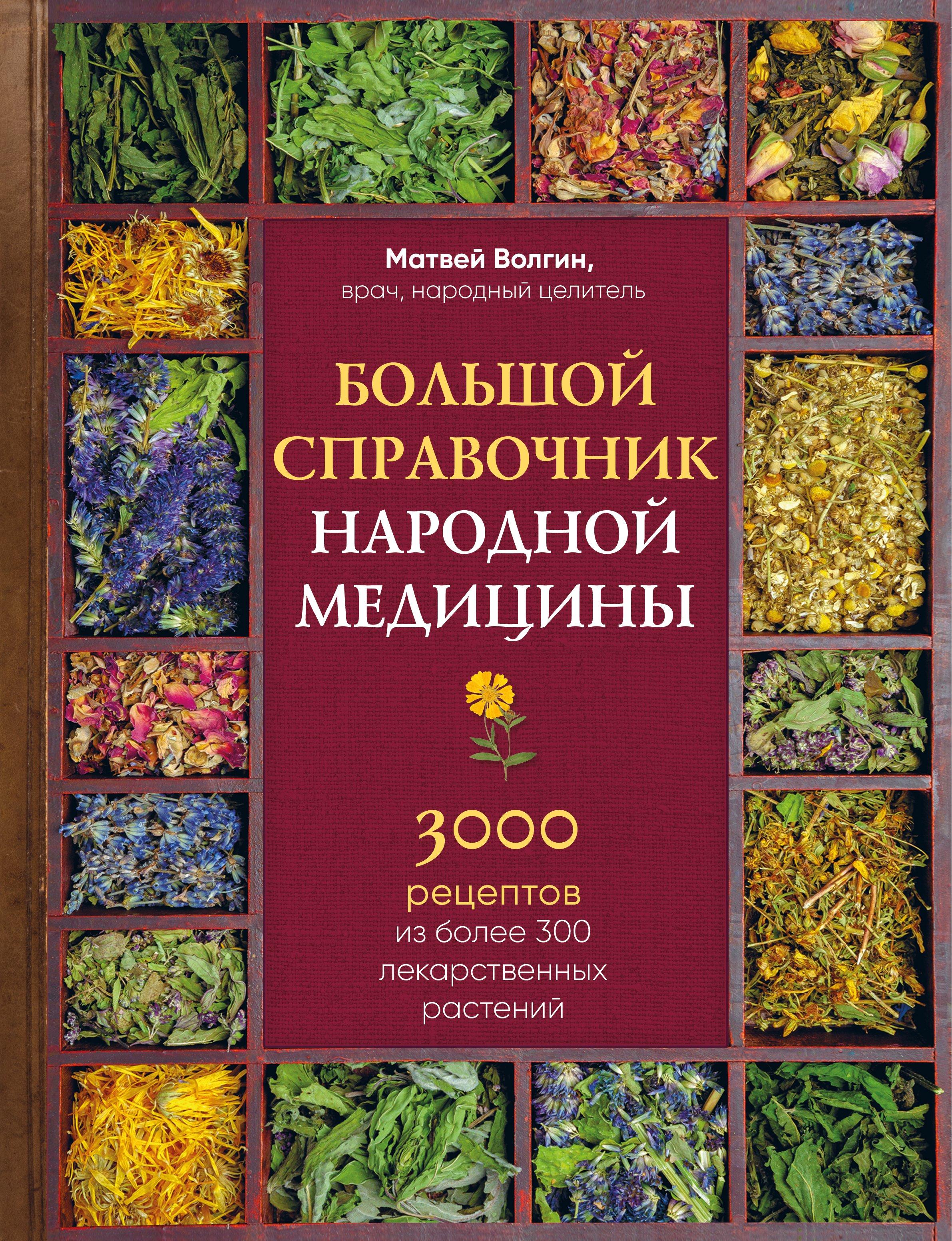 Большой справочник народной медицины. 3000 рецептов из более 300 лекарственных растений