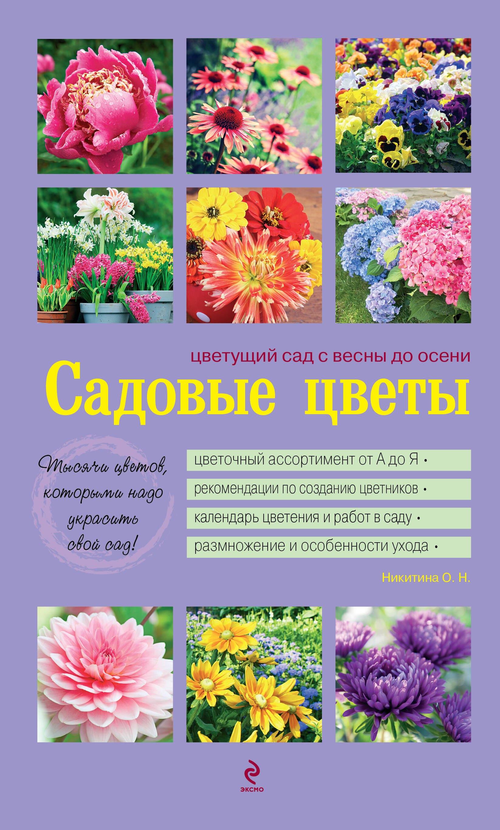 https://ndc.book24.ru/pim/products/images/01/5c/01907d06-cfaf-7fce-8445-8c27afa0015c.jpg