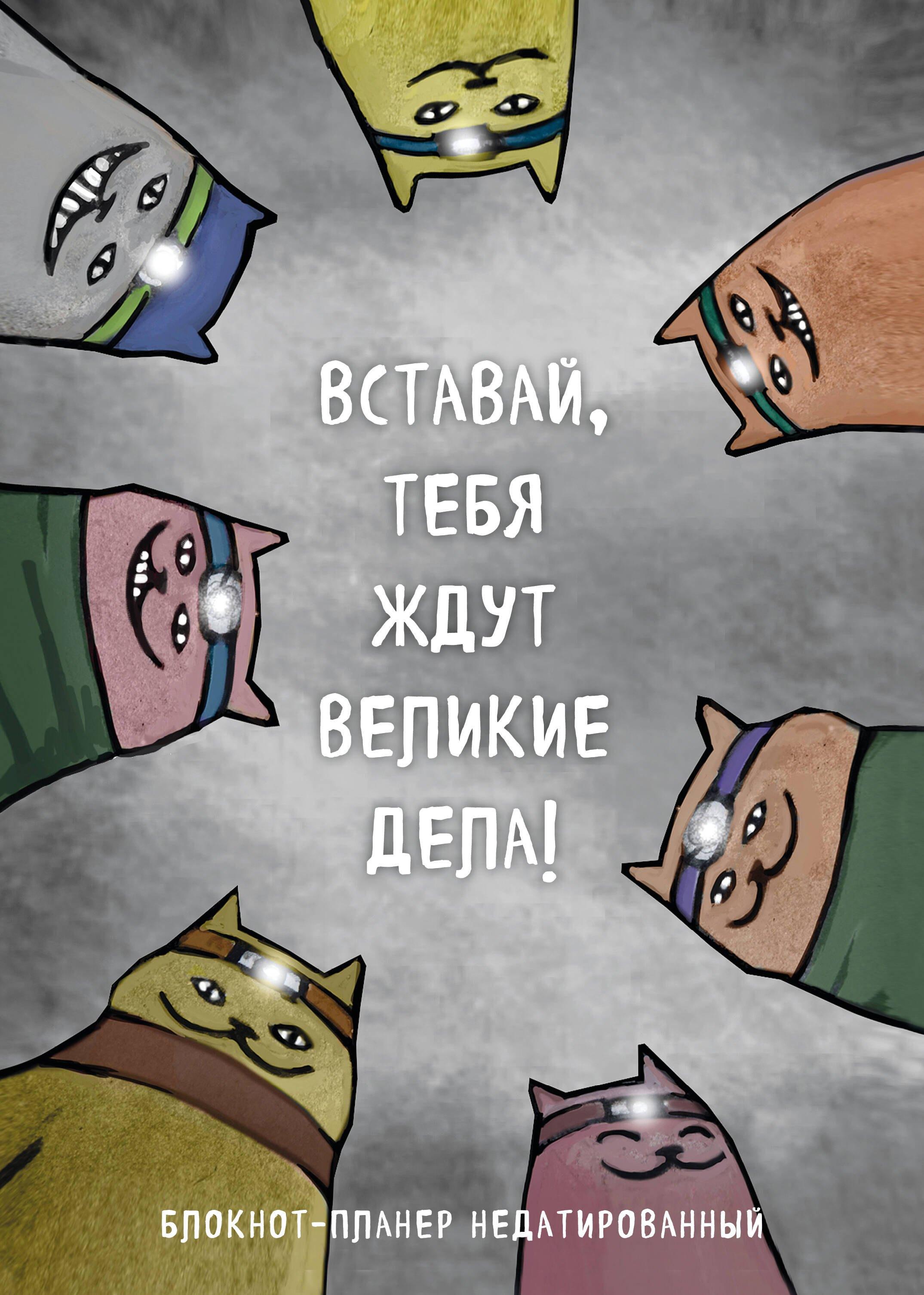 https://ndc.book24.ru/pim/products/images/01/f8/0199616b-45c9-77cf-9b9d-0145cf1001f8.jpg