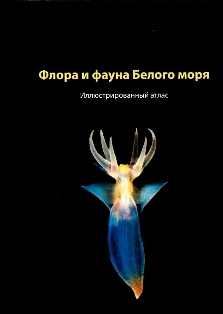 https://ndc.book24.ru/pim/products/images/04/c7/018eebee-e32b-7290-9c22-b6b1fb7204c7.jpg