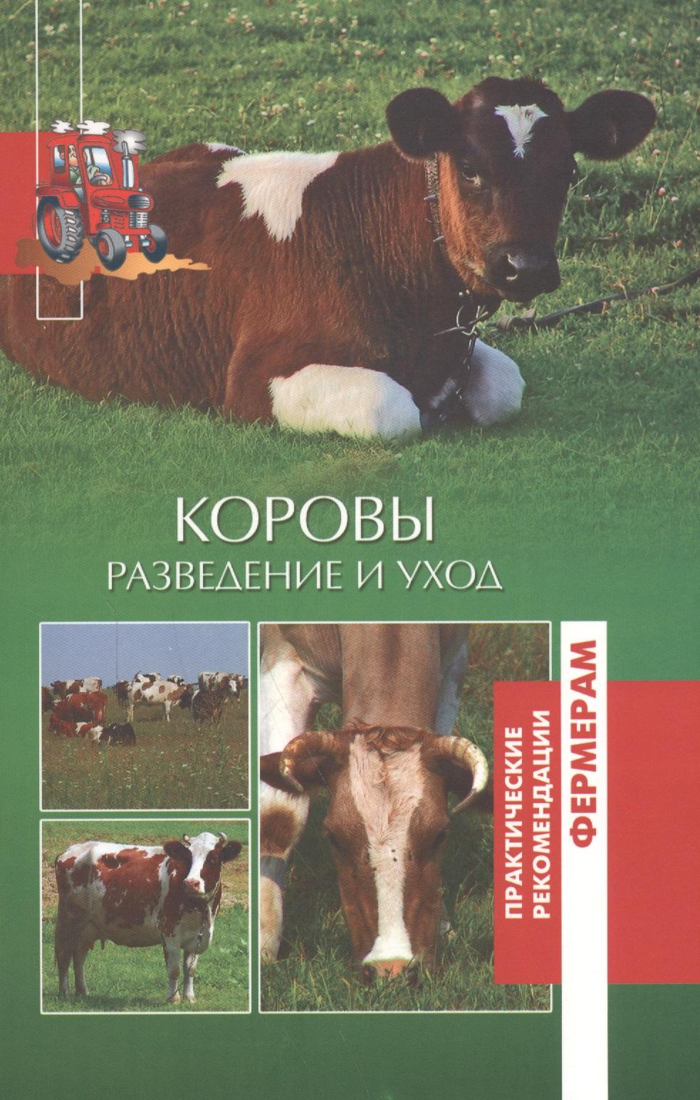 Вече | Коровы. Разведение и уход.