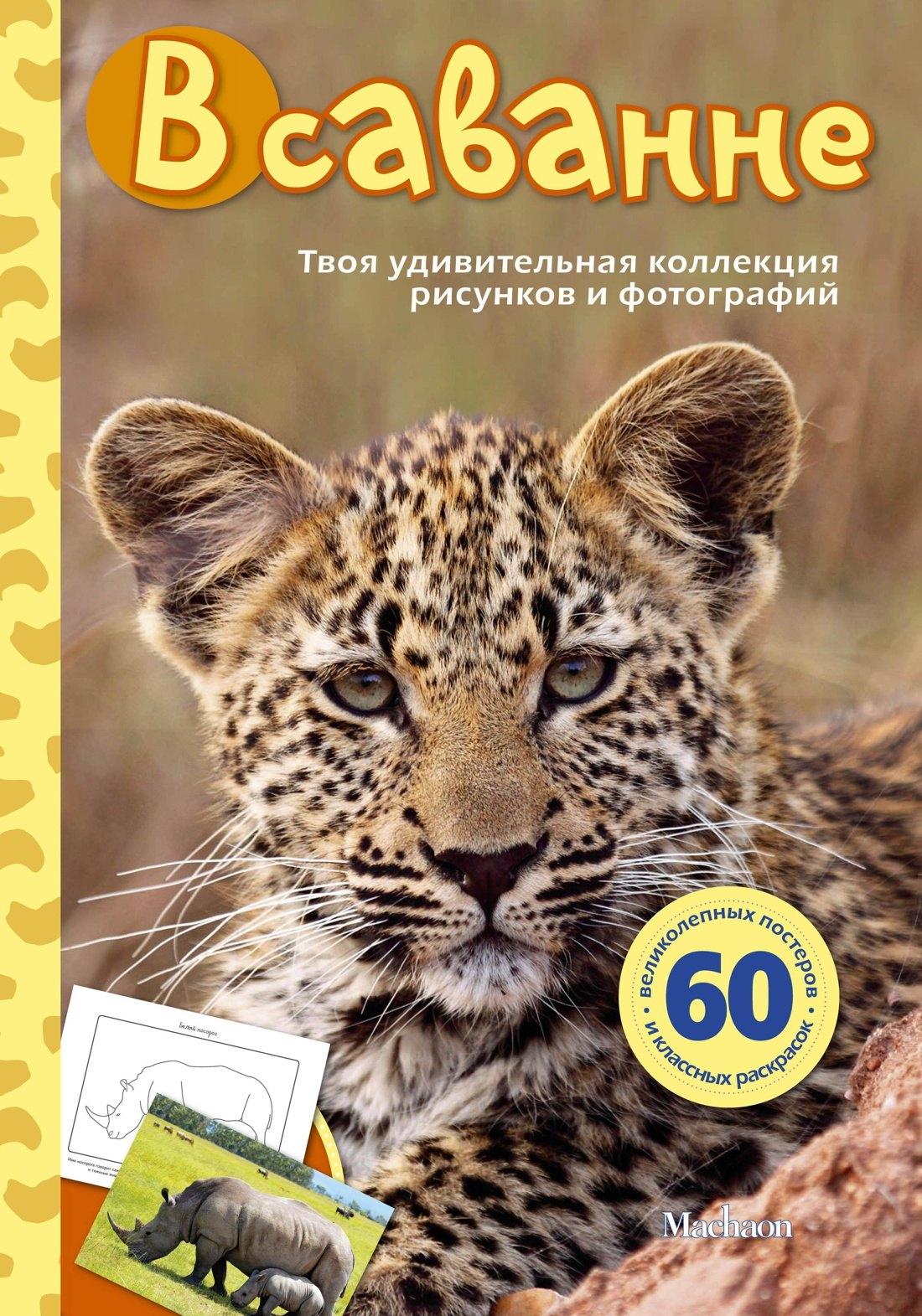 https://ndc.book24.ru/pim/products/images/07/b8/018f5d0e-5945-7d11-af5d-83e2dff407b8.jpg