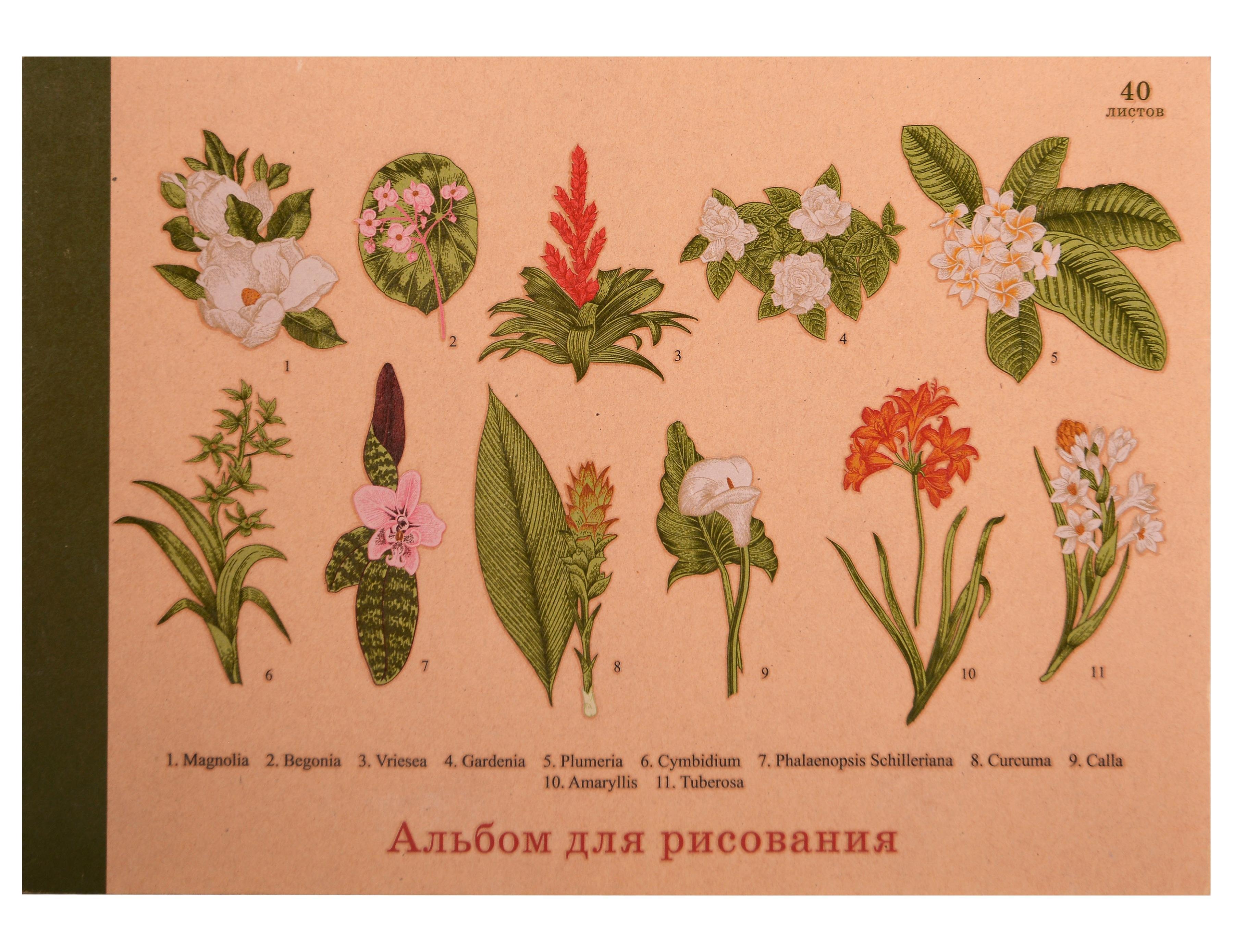 https://ndc.book24.ru/pim/products/images/07/c6/019f1330-b34e-76da-bda9-10e066b707c6.jpg