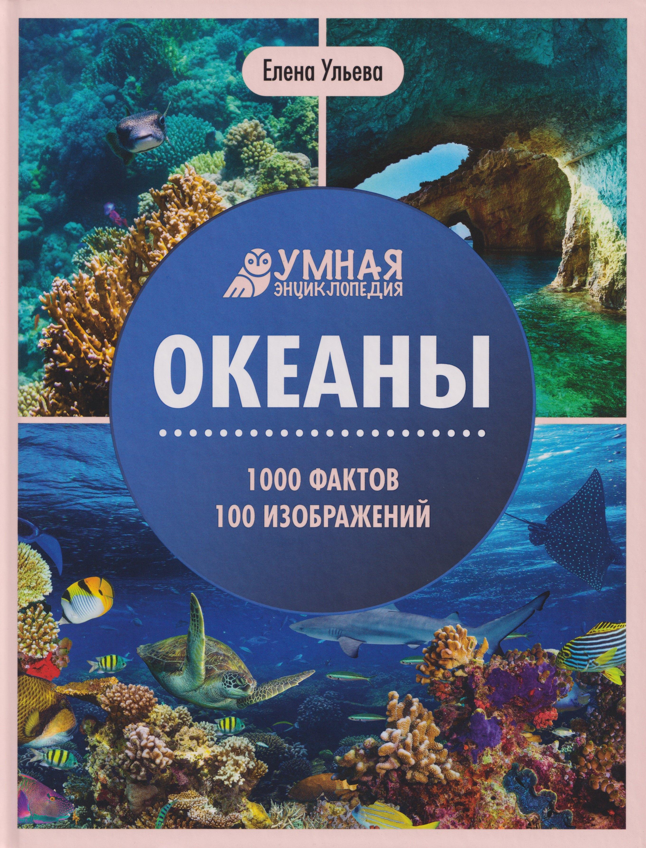 https://ndc.book24.ru/pim/products/images/0d/6b/0199e72e-92f4-75d4-b89e-70e008f00d6b.jpg