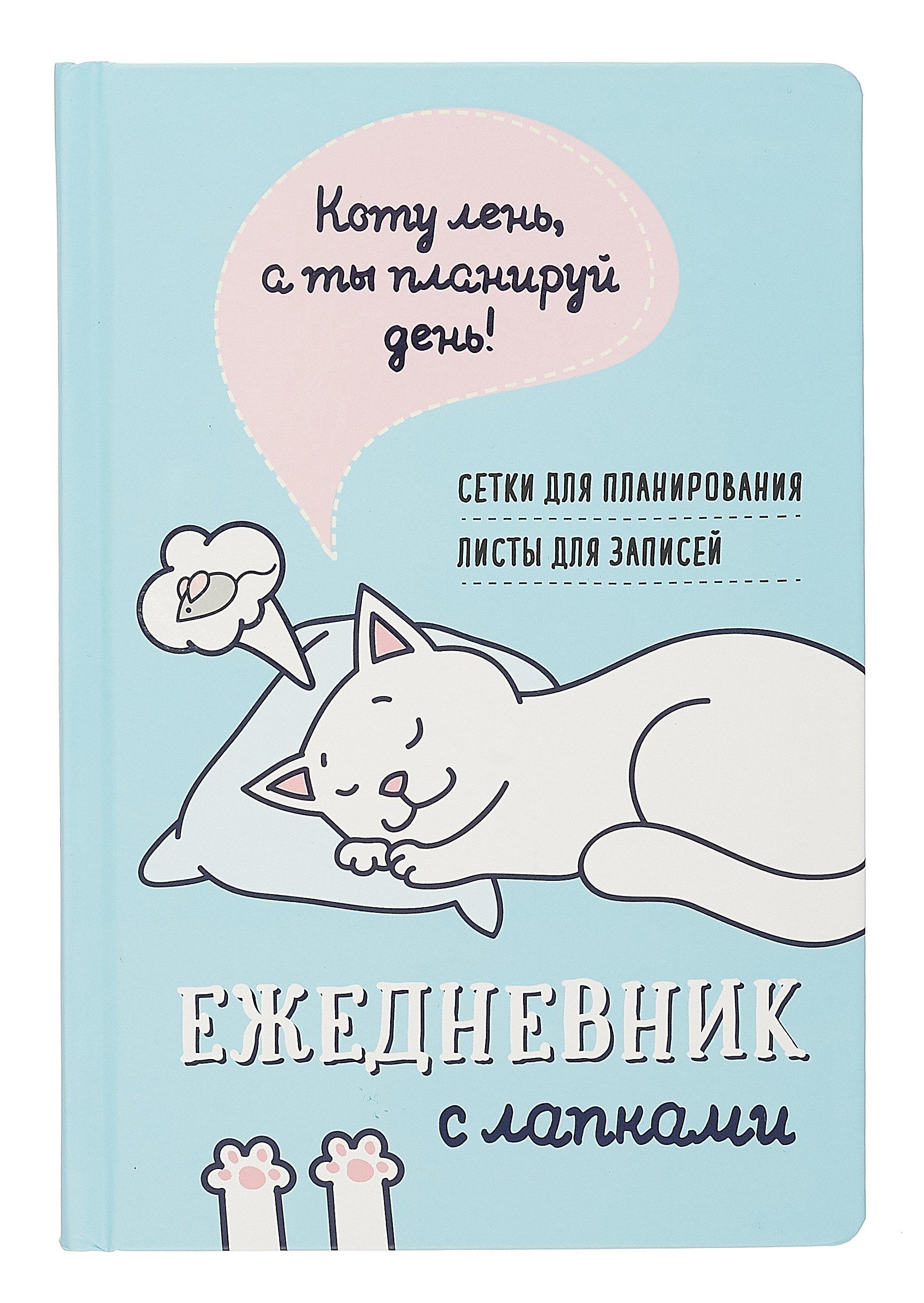 Ежедневник недатированный «Ежедневник занятого котика с лапками» А5, голубой, 72 листа, Контэнт