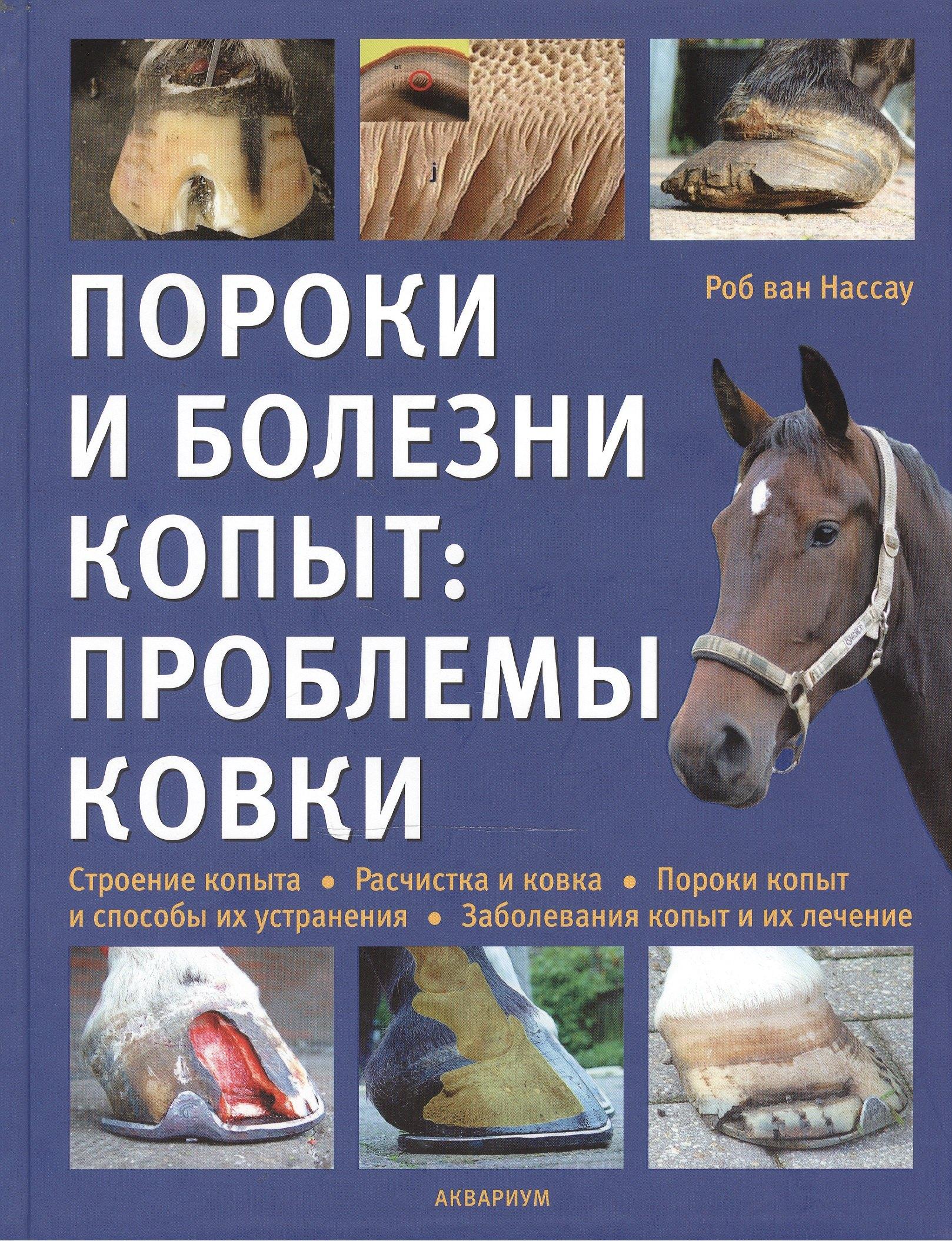 Аквариум | Пороки и болезни копыт: проблемы ковки. (цвет.)