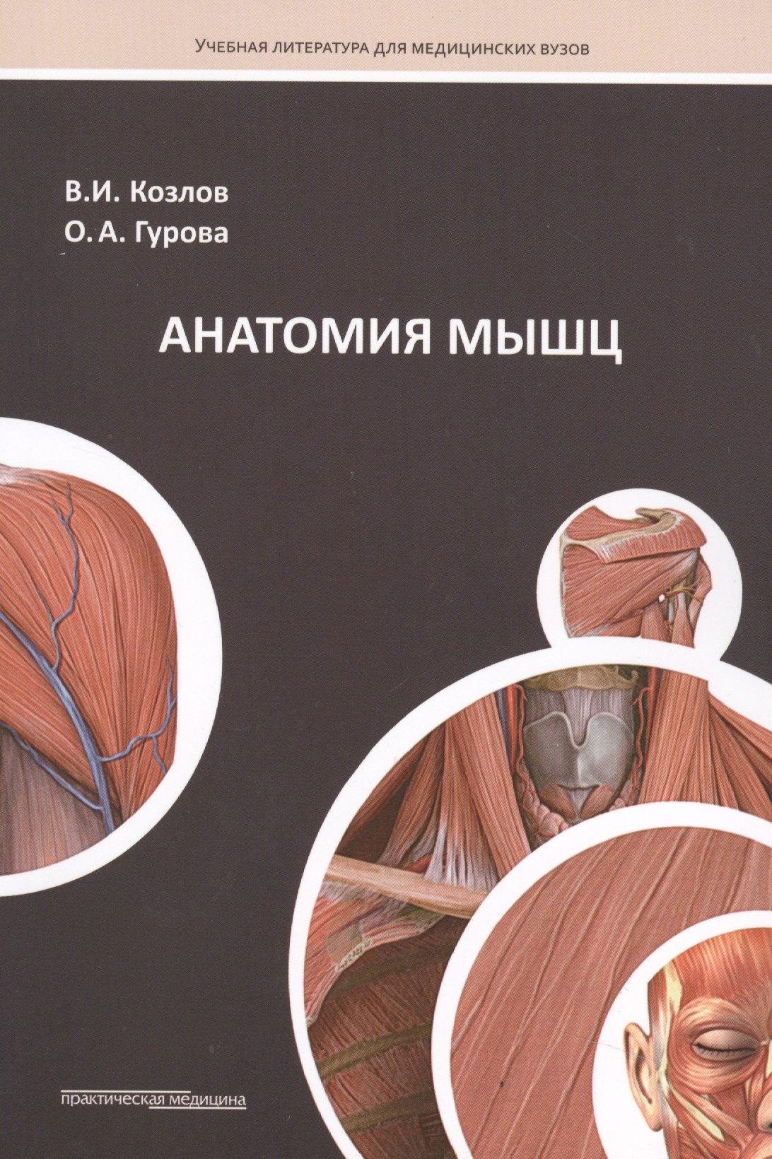 Практическая медицина | Анатомия мышц: Учебное пособие.
