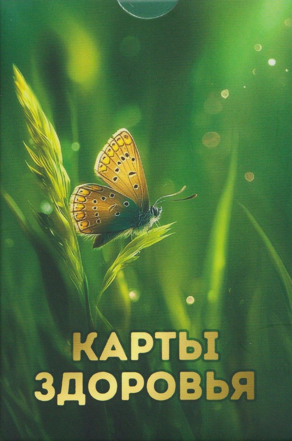 https://ndc.book24.ru/pim/products/images/0f/02/019a3a10-2475-77c8-b38c-6e3286a20f02.jpg