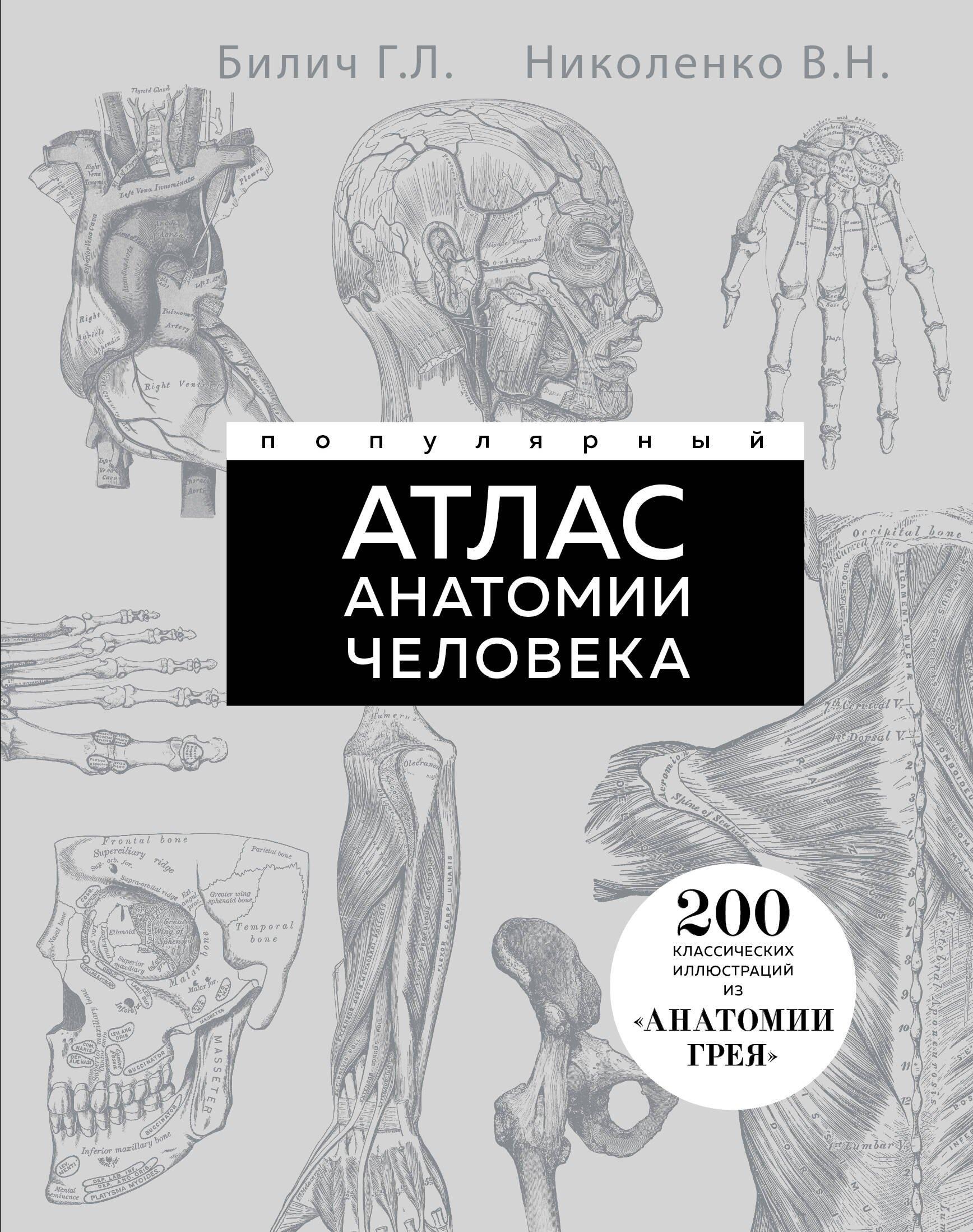 https://ndc.book24.ru/pim/products/images/0f/63/0198ac6a-6874-78ed-a018-10e88e730f63.jpg