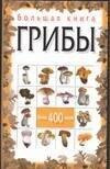 https://ndc.book24.ru/pim/products/images/11/1c/0199ed30-d561-731f-991d-23be551a111c.jpg