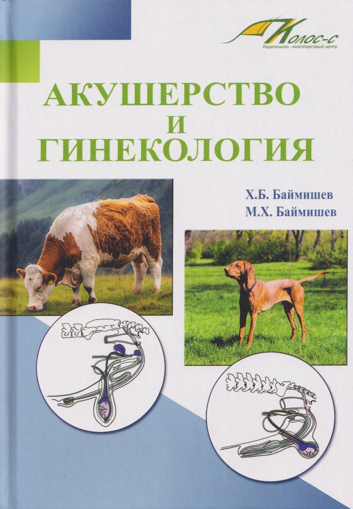 https://ndc.book24.ru/pim/products/images/11/5a/019d29f3-e258-7c50-be5d-603170d9115a.jpg