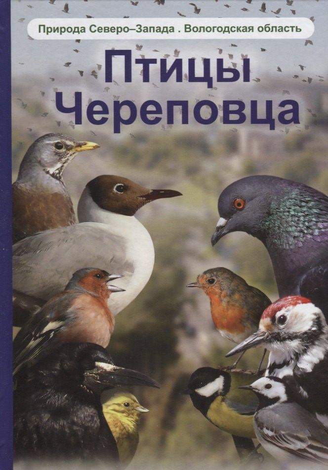 https://ndc.book24.ru/pim/products/images/13/07/018ee01e-5eed-71c0-b300-902fabff1307.jpg