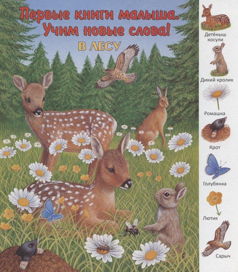 Улыбка | В лесу