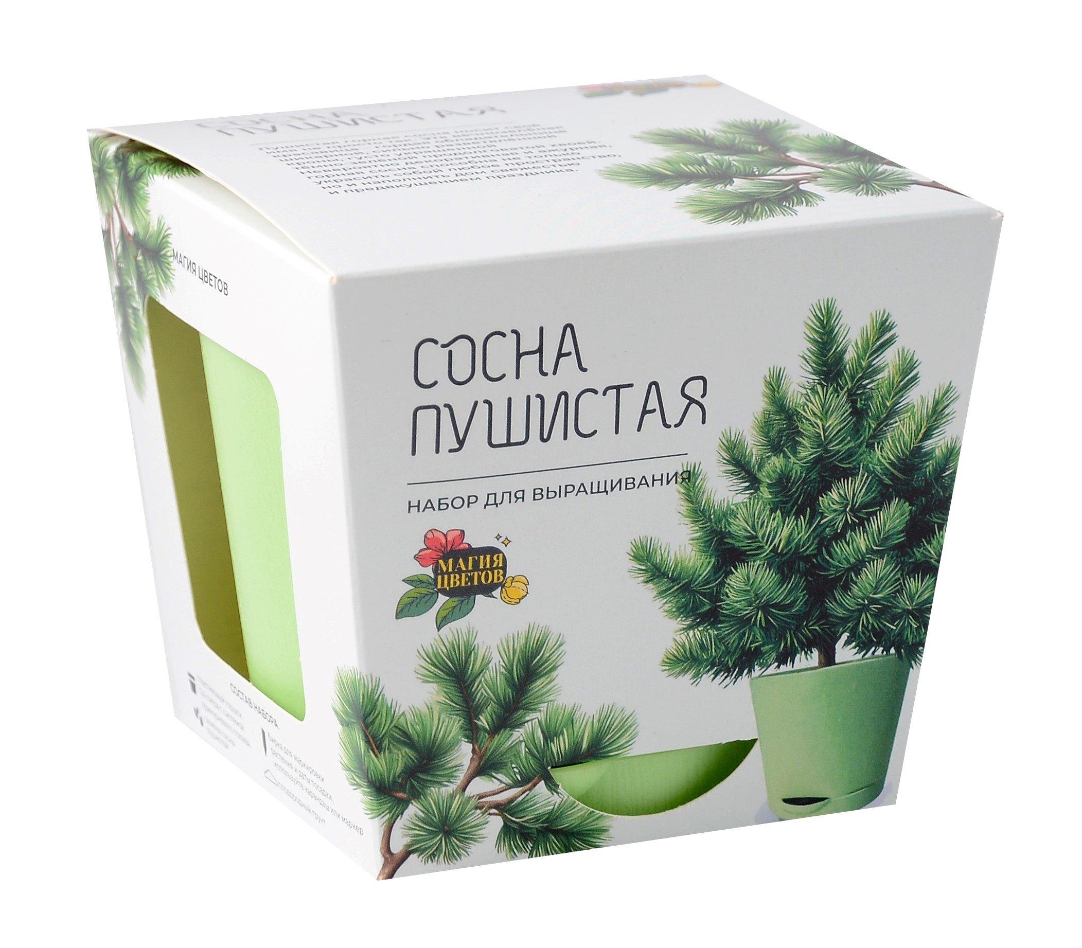 https://ndc.book24.ru/pim/products/images/18/ce/01934f7d-48f0-7f8b-858f-a6ab5c0a18ce.jpg