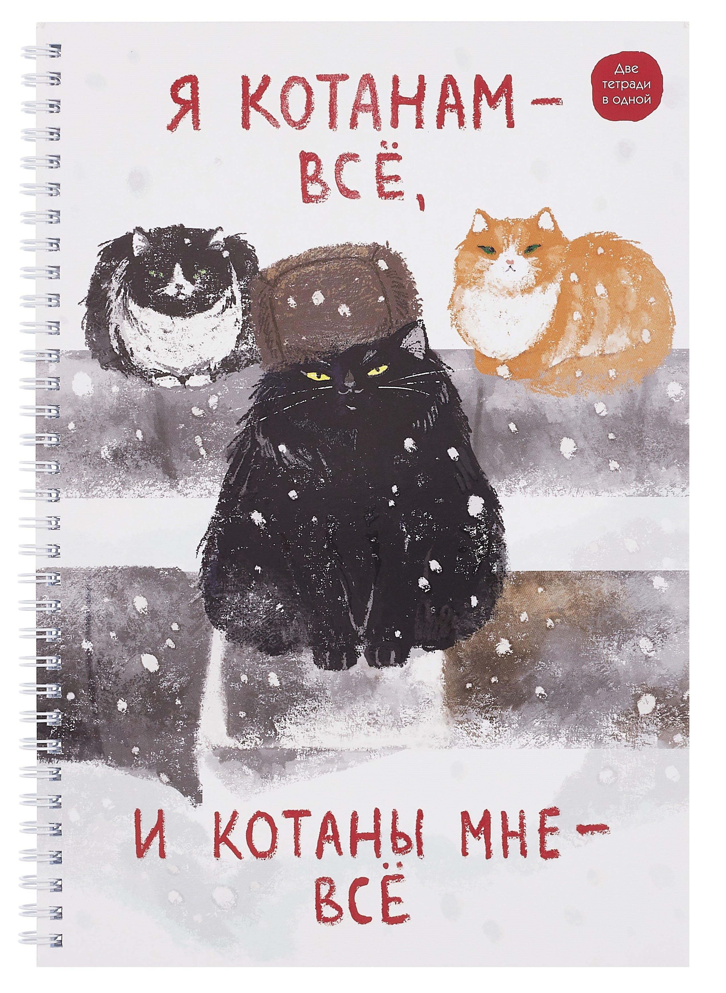 https://ndc.book24.ru/pim/products/images/19/4d/0195b918-290d-7925-b2ce-c17fa029194d.jpg