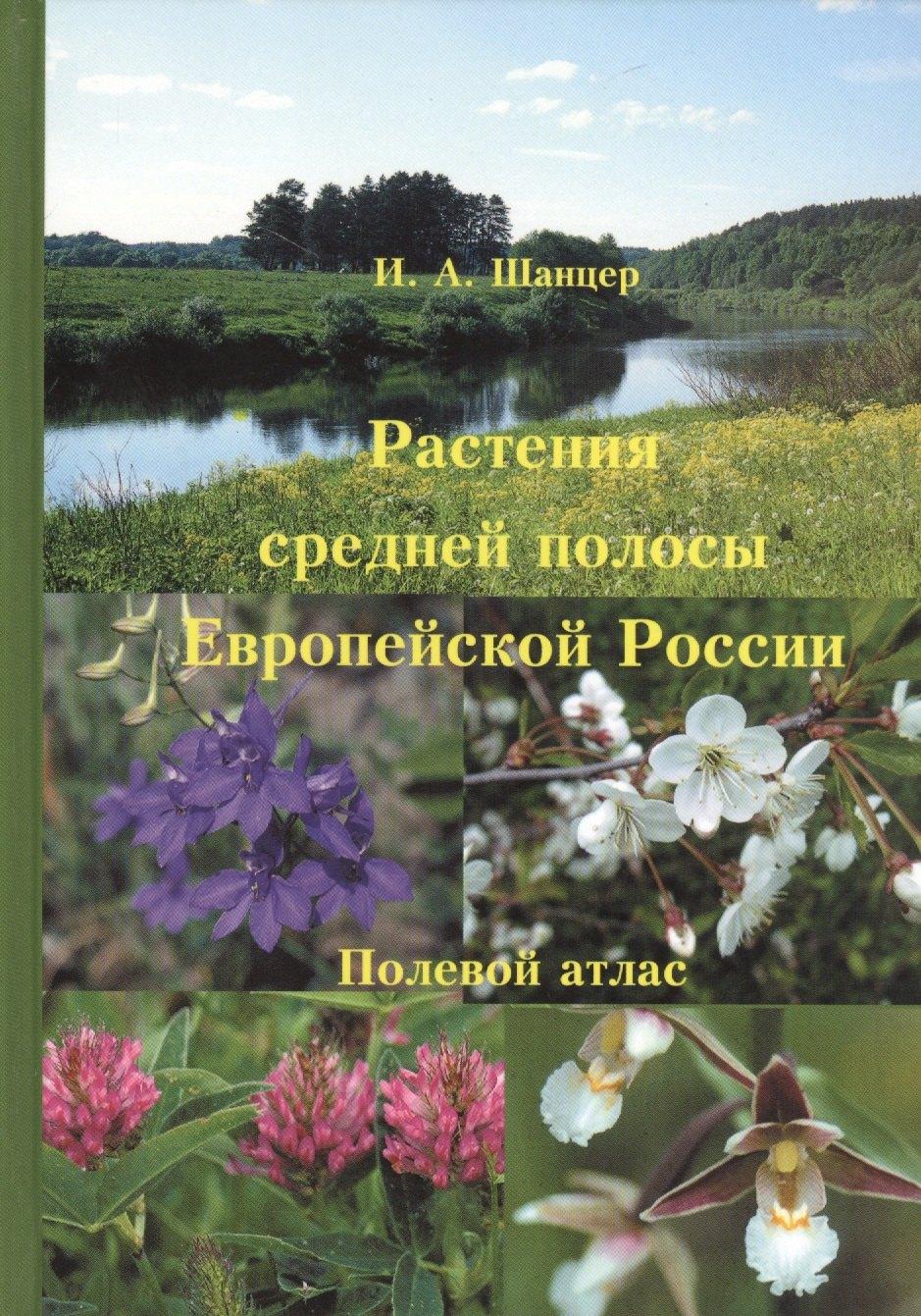 Товарищество научных изданий КМК | Растения средней полосы Европейской России. Полевой атлас. 5-е изд.