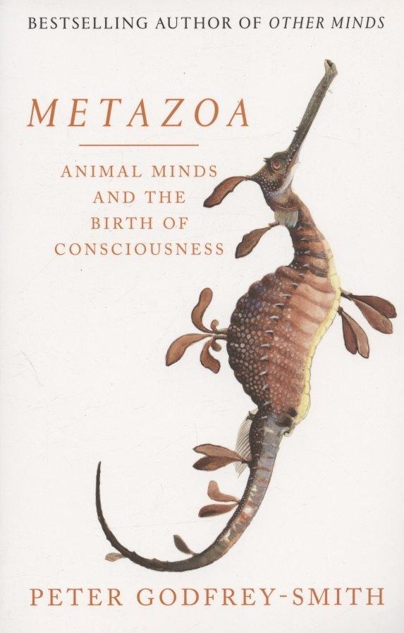 William Collins | Metazoa