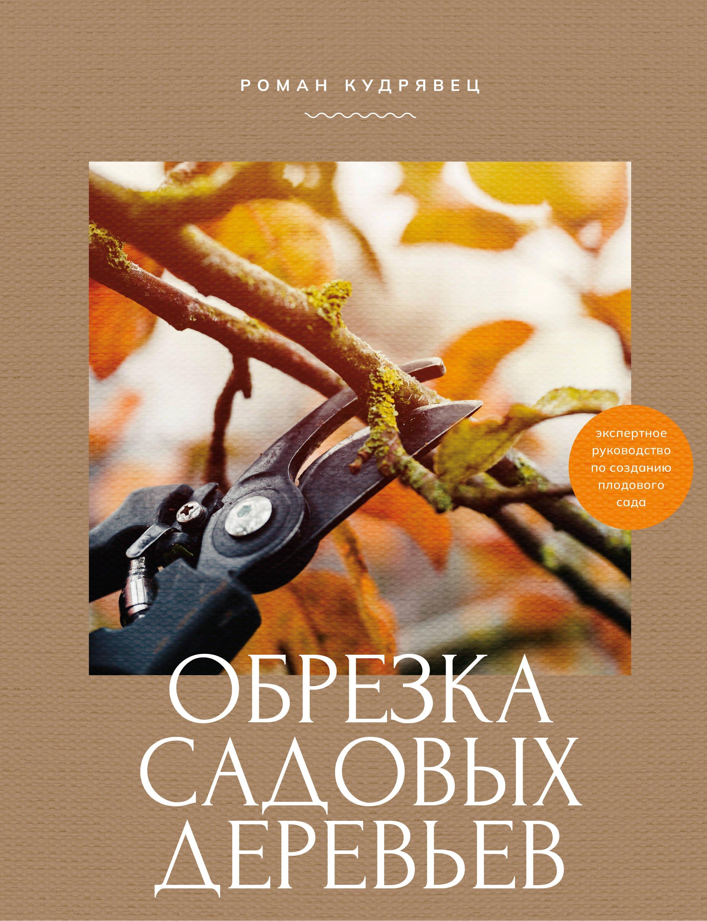 https://ndc.book24.ru/pim/products/images/1c/f7/019a6230-aedc-7878-8a04-9a85ed8f1cf7.jpg