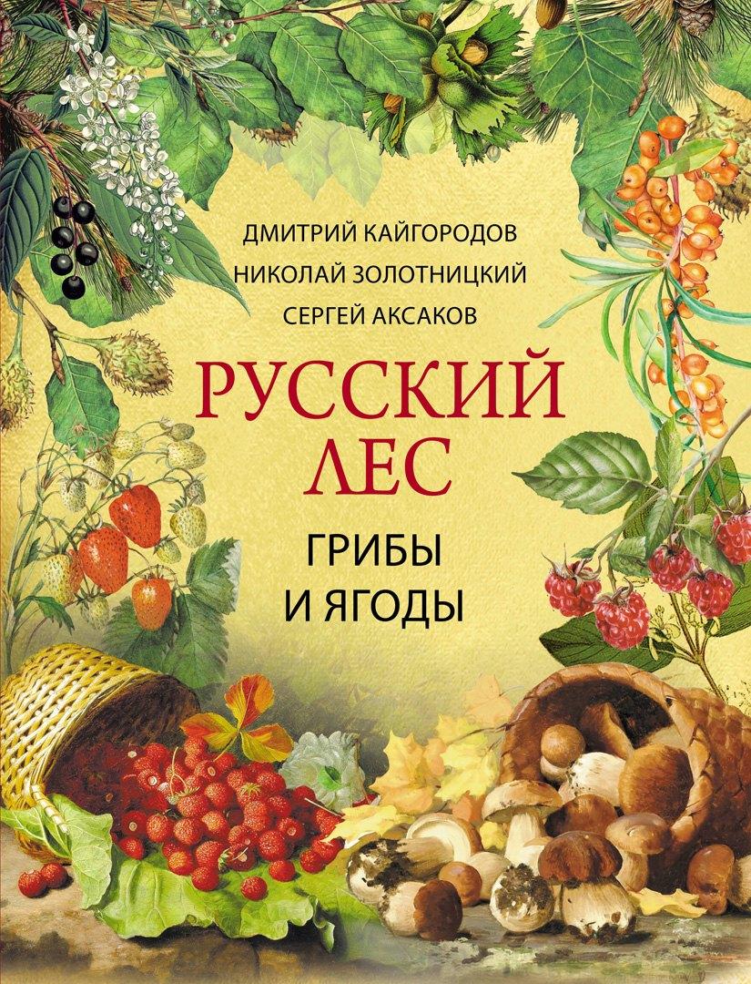 https://ndc.book24.ru/pim/products/images/1d/55/019e5f74-9bfc-71ec-b6e0-ab081c361d55.jpg