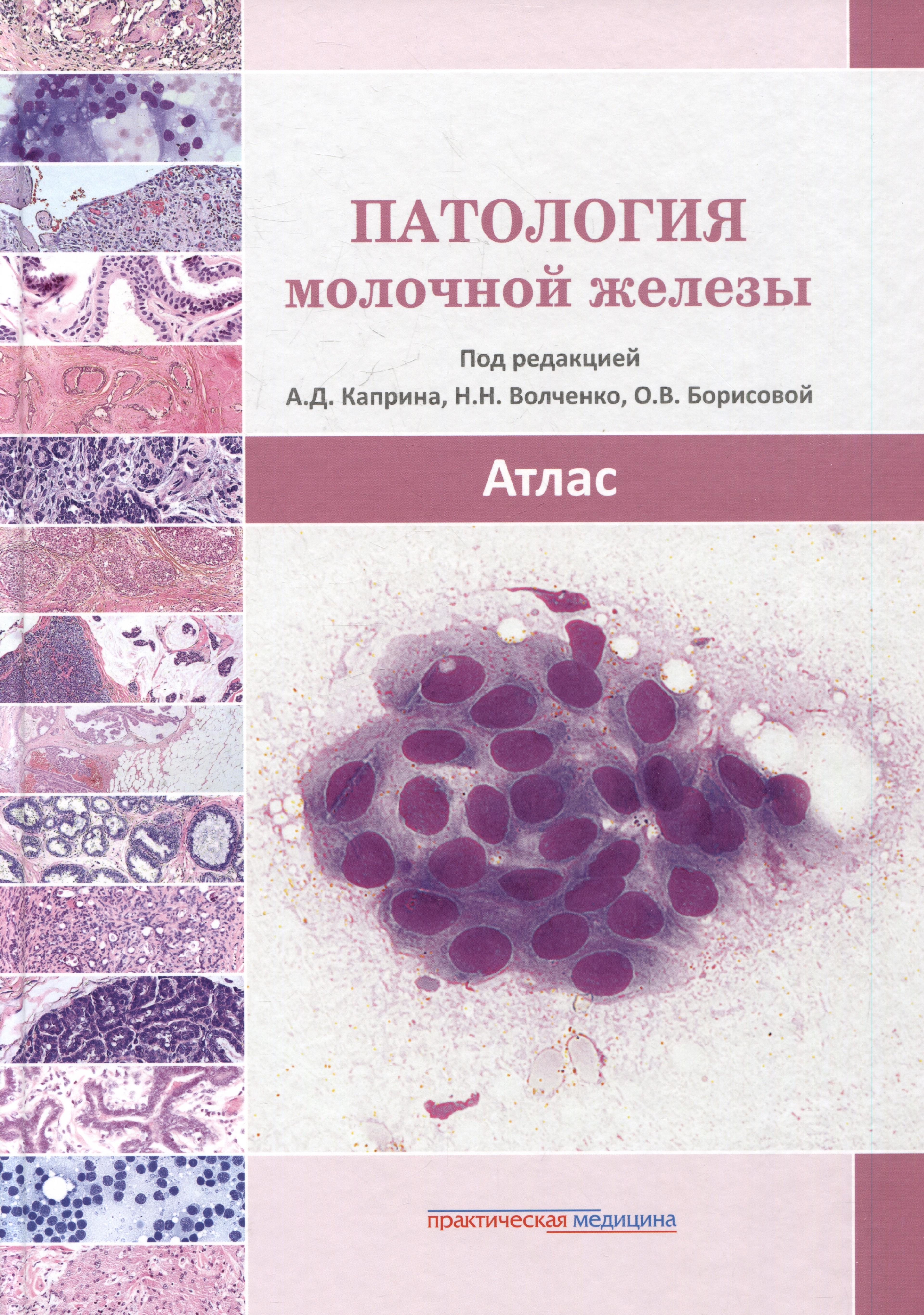 https://ndc.book24.ru/pim/products/images/1d/86/019837c9-dd96-74c0-85f9-66641a171d86.jpg