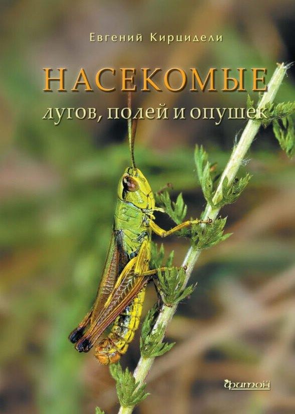 Фитон XXI | Насекомые лугов, полей и опушек.
