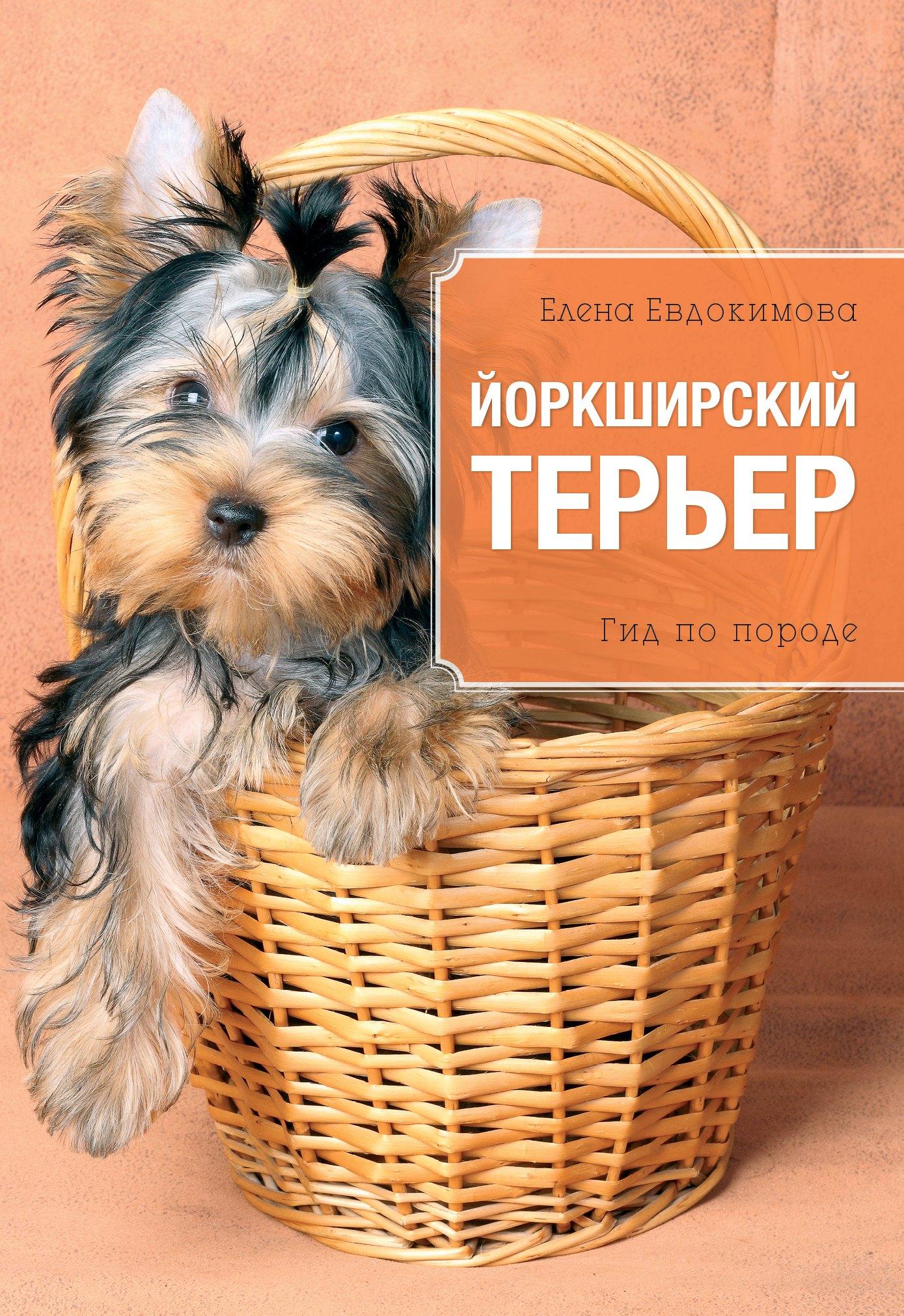 https://ndc.book24.ru/pim/products/images/20/fd/0193915d-0911-7009-9ecf-80831d3c20fd.jpg